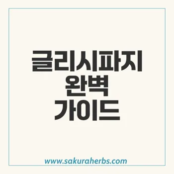 글리시파지: 제2형 당뇨병 치료를 위한 혁신적인 복합제