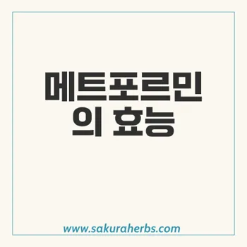 글리시파지: 제2형 당뇨병 치료를 위한 메트포르민의 효능과 안전성