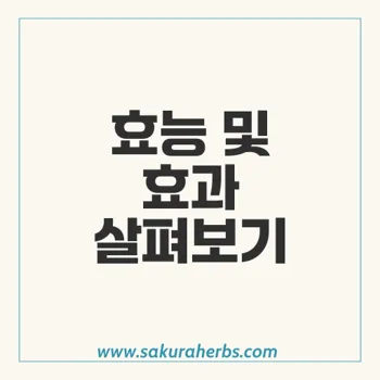 나프록신: 관절염과 통증 완화의 핵심 파트너