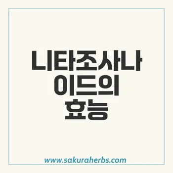 니타조사나이드: 원생 감염 치료의 혁신적인 항염증제