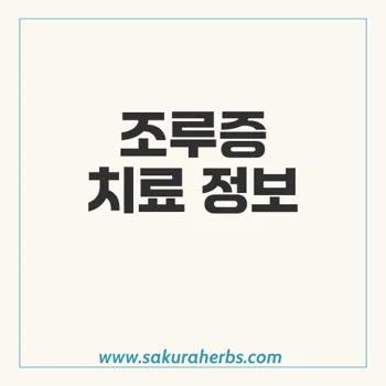 폭세트: 조루증 치료를 위한 효과적인 약물 및 정보 총정리