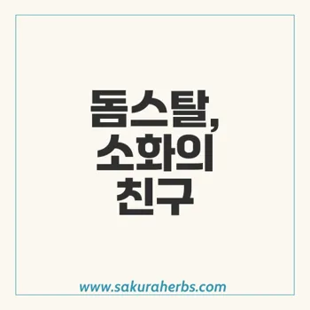 돔스탈: 소화 건강을 위한 혁신적인 치료제의 모든 것