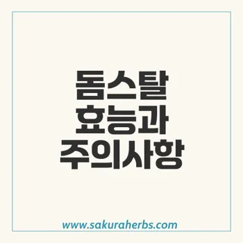 돔스탈 – 돔페리돈 성분의 효능과 복용 주의사항 총정리