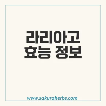 라리아고: 아지트로마이신의 효능과 용도 소개