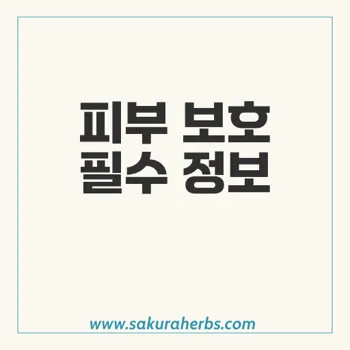 레티노크림으로 겨울과 봄 피부 건강 유지하는 법