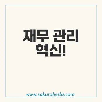 마이데클라: 효율적인 재무 관리의 필수 도구