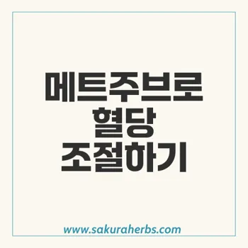 메트주브: 제2형 당뇨병 치료를 위한 메트포르민염산염 정제 안내