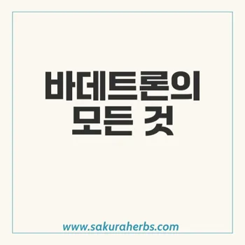 바데트론: 발기부전 치료를 위한 효과적인 사용법과 안전성 안내