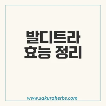 발디트라: 발기부전 치료를 위한 효과와 안전성