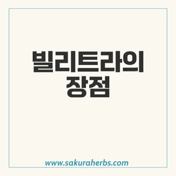 빌리트라: 효과적인 발기부전 치료제의 모든 것