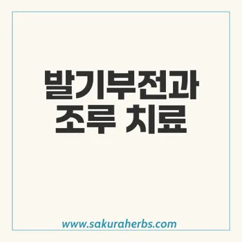 슈퍼 빌리트라: 발기부전과 조루 치료의 최적 솔루션