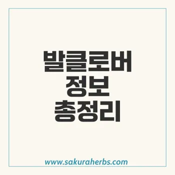 발클로버 대상포진 및 성기포진 치료법 총정리