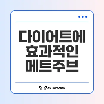 메트주브: 다이어트와 혈당 조절의 혁신적인 선택