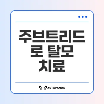 주브트리드로 탈모 고민 해결: 핀주브 복용법과 효과 완벽 가이드