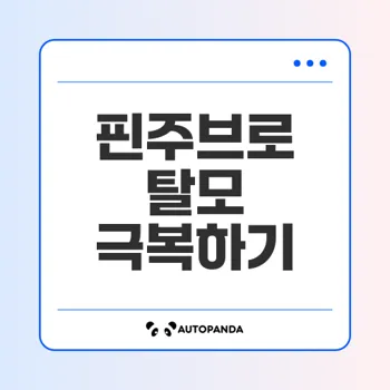 핀주브: 현대인의 탈모 문제, 치료법과 주의사항 알아보기