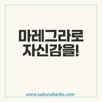 마레그라: 남성 발기부전 치료의 완벽한 선택