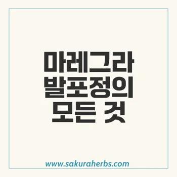 마레그라 발포정: 안전한 복용법과 주요 성분 알아보기