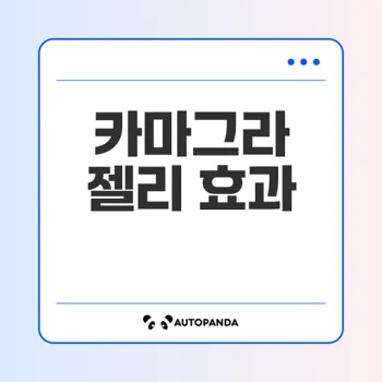 카마그라 오랄젤리: 발기부전 고민을 해결하는 완벽한 선택