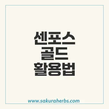 센포스 골드: 발기부전 완화에 최적화된 실데나필 효과와 복용 가이드