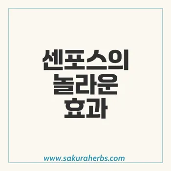 센포스: 발기부전 치료의 최강 약물 실데나필 100mg 소개