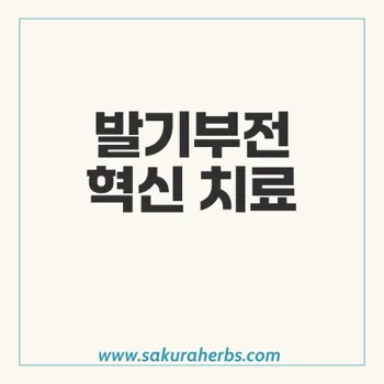 센포스 소프트 – 발기부전 개선을 위한 혁신적인 치료제