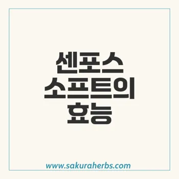 센포스 소프트의 효과적인 발기부전 해결 방안과 주의사항