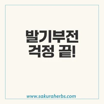 센포스 프로페셔널: 발기부전 혁신적 해결책과 복용 방법