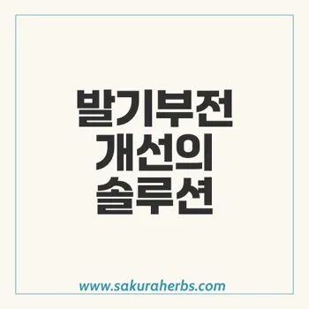 센포스 프로페셔널: 발기부전 개선을 위한 효과적인 솔루션