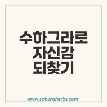 수하그라: 비아그라 제네릭으로 발기부전 해결하기