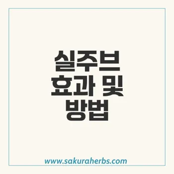 실주브 남성 발기부전 치료제: 효과와 사용법