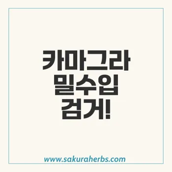 카마그라 밀수입 사건, 발기부전 치료제 불법 판매 일당 검거