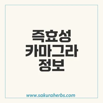 카마그라: 즉효성이 우수한 발기부전치료제 구매 가이드