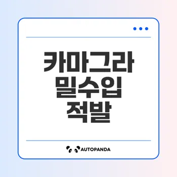 카마그라 밀수입, 인도산 발기부전 치료제 불법 유통한 일당 검거