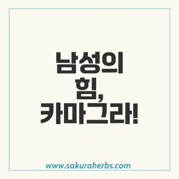 카마그라 발포정: 남성 발기 부전 치료의 혁신적인 선택