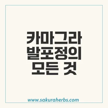 카마그라 발포정: 최고의 발기부전 치료제 리뷰 및 복용법