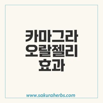 카마그라 오랄젤리로 발기부전과 조루 극복하는 법