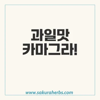 카마그라 츄어블: 과일맛 발기부전 치료제의 모든 것