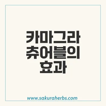 카마그라 츄어블: 성기능 개선 효과를 극대화하는 팁