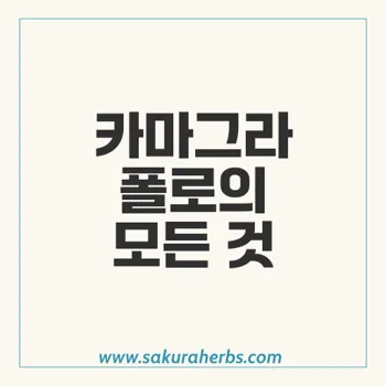 카마그라 폴로: 발기 부전 치료의 안전하고 효과적인 선택