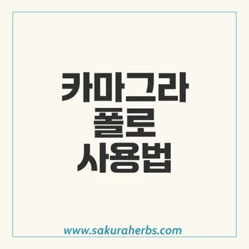 카마그라 폴로: 강력한 발기부전 치료제의 효과와 안전한 사용법