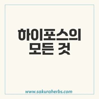 하이포스: 빠른 효과를 제공하는 발기 부전 치료제의 모든 것