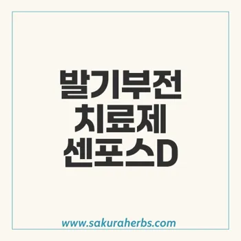 센포스D로 발기부전 치료: 안전성과 효과 분석