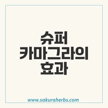 슈퍼 카마그라: 발기부전과 조루 치료의 혁신적인 해결책