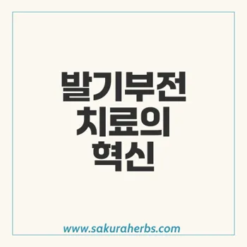 슈퍼 카마그라 오랄젤리: 발기부전을 극복하고 조루 예방하기