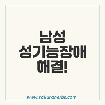 실다트론 D: 남성 성기능장애와 발기부전의 혁신적 치료법