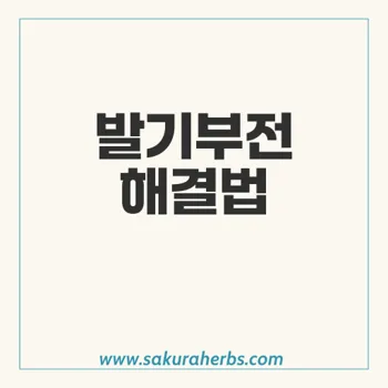 실주브 D 젤리: 발기부전과 조루증 최적 치료법