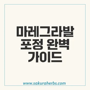 마레그라발포정: 효과적인 발기부전 치료제의 모든 것