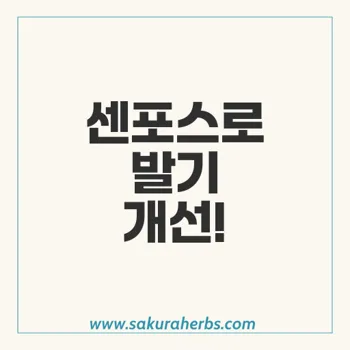 센포스, 발기부전 치료의 혁신적 솔루션을 제공합니다!