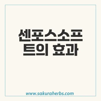 센포스소프트: 발기부전 치료에 효과적인 비아그라 제네릭 의약품 소개