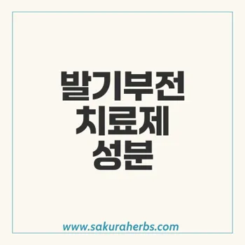 센포스프로페셔널 – 발기부전에 효과적인 안전한 치료제 사용법